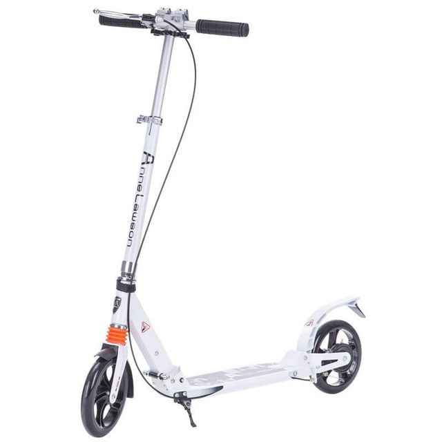 Adult Scooter