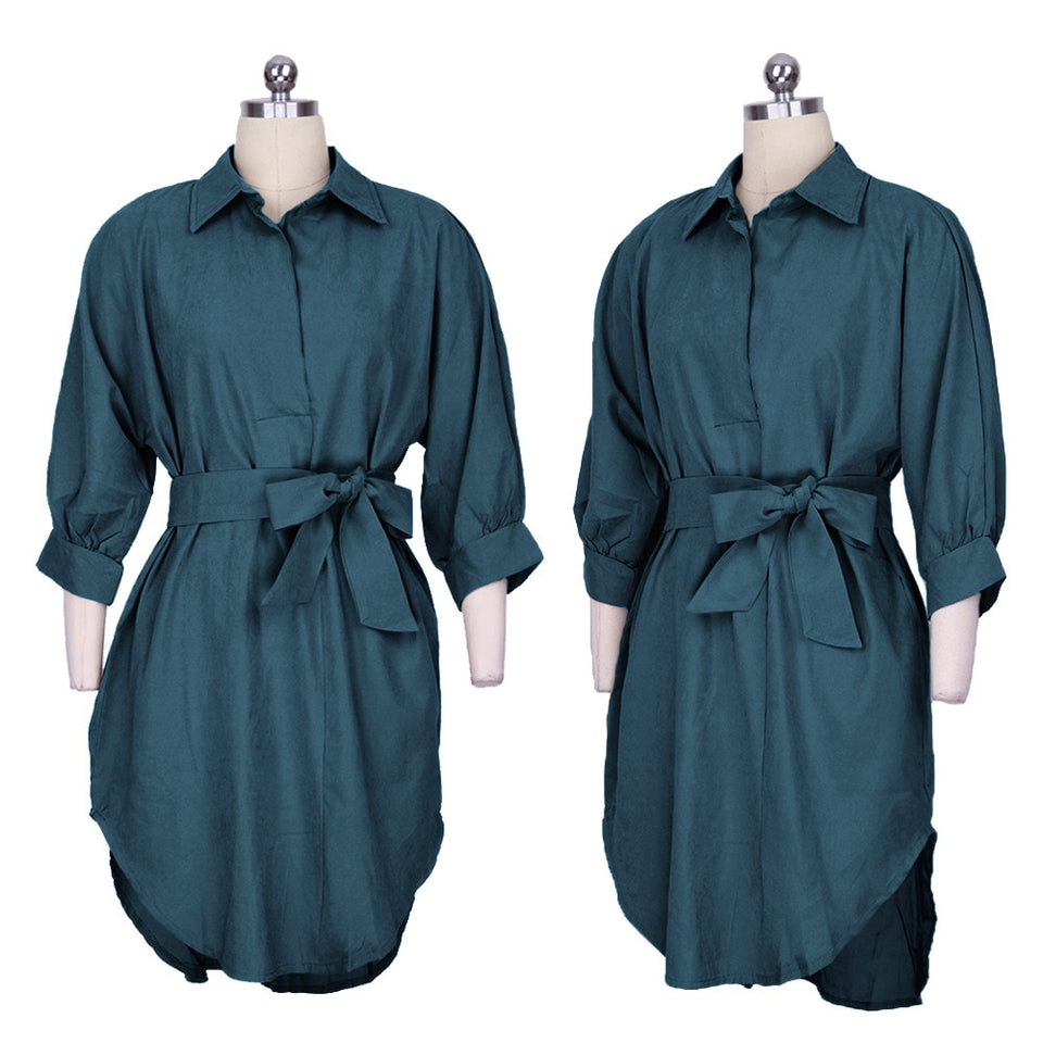 Woman's Clothing-Maternity Blouse