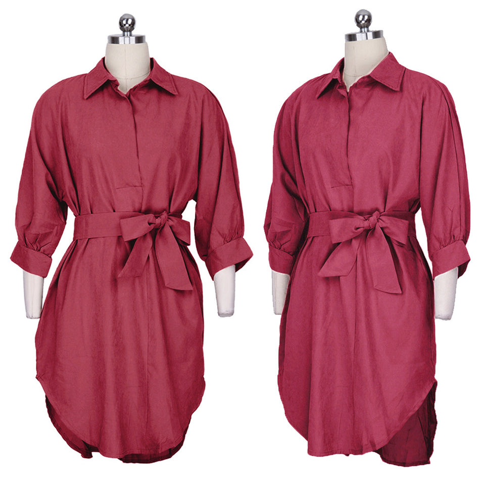 Woman's Clothing-Maternity Blouse