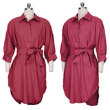 Woman's Clothing-Maternity Blouse