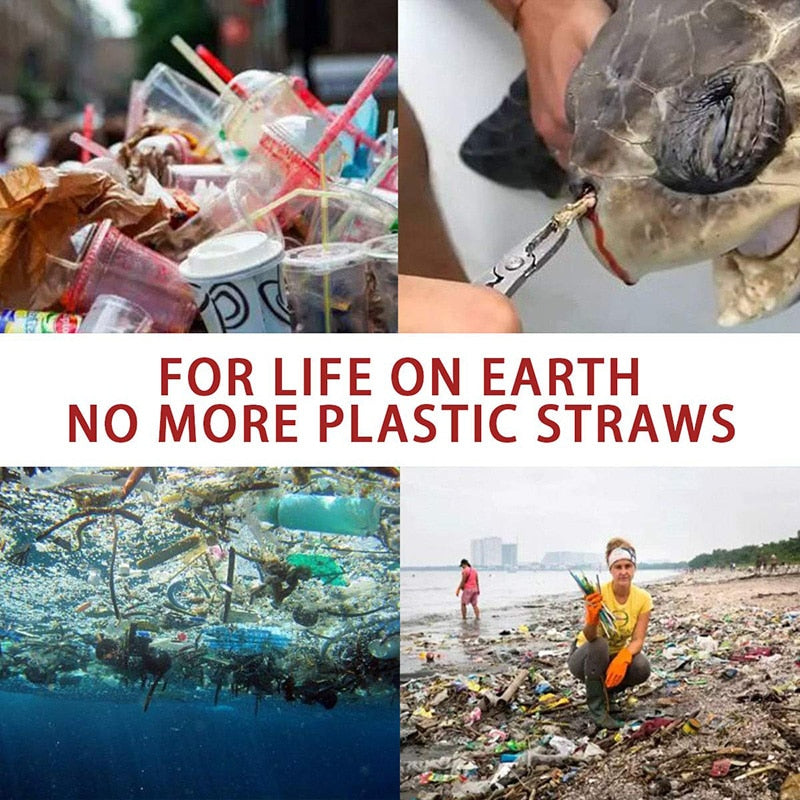 Reusable Stainless Steel Straw