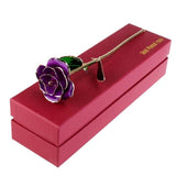 Lovers' Flower Romance