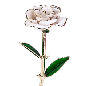 Lovers' Flower Romance