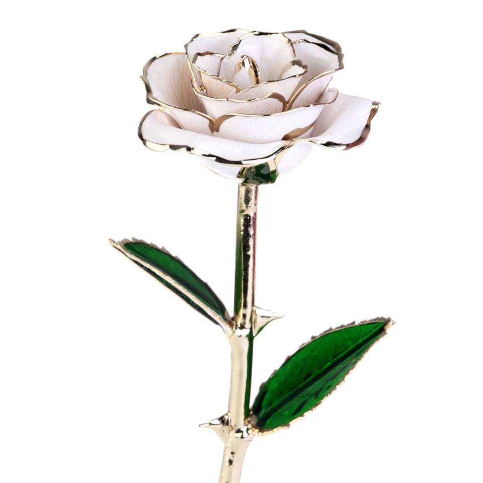 Lovers' Flower Romance