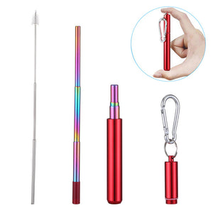 Reusable Stainless Steel Straw