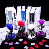 Rose Wedding-Anniversary Gift