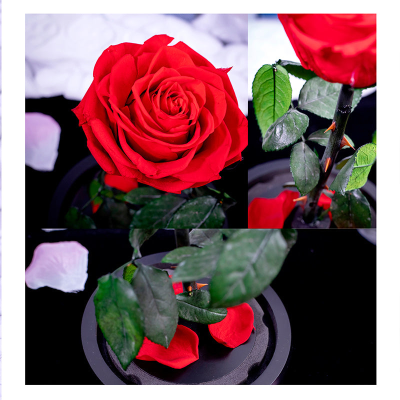 Rose Wedding-Anniversary Gift