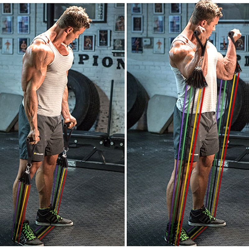 Multi-Functional Fitness Gym Equipment