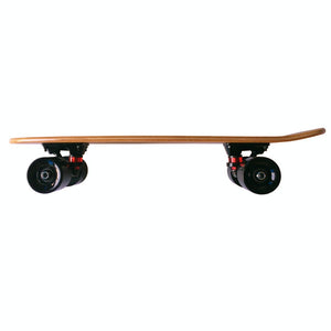 Standard Skate Board
