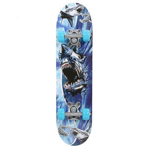 Four Wheel Long Skateboard