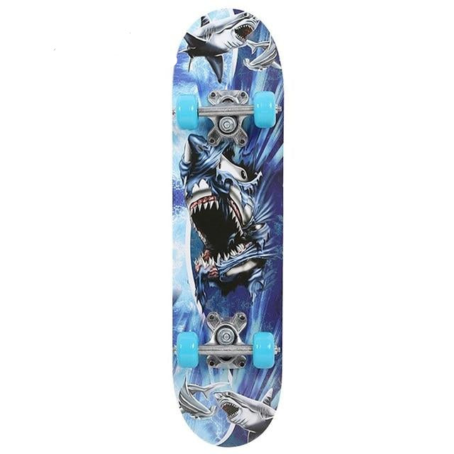 Four Wheel Long Skateboard